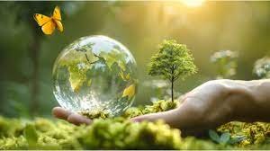 Legal Documentation in the Age of Climate Litigation: How to Structure Effective Environmental Lawsuits