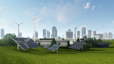 India’s Rapid Growth in Renewable Energy: A Sustainable Future in the Making