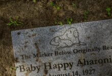 efficient smart online platform